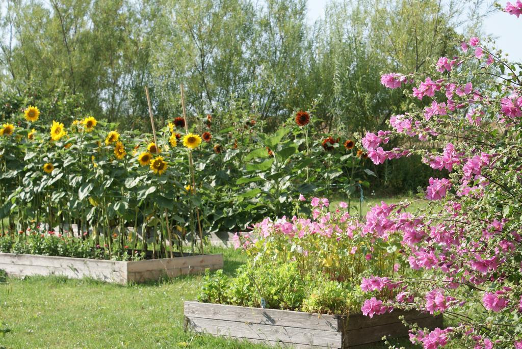 Ruhetgaard Holiday Apartment Ерескебінґ Номер фото